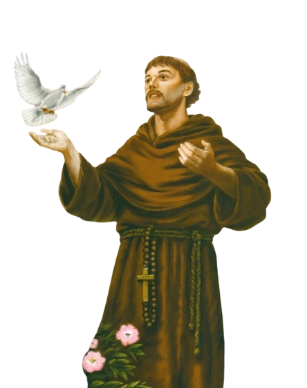 Assisi Apostolic Family – In The Way Of St.francis Of Assisi